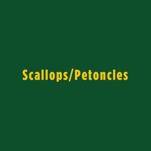 Scallops Petoncles